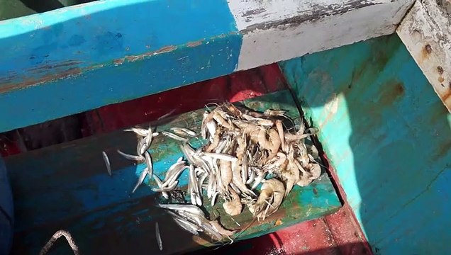 Sénégal, Dakar, Pêcheurs de Soumbédioune