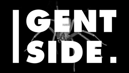 Elle pensait avoir de l'eau dans l'oreille... c'était en fait une araignée venimeuse