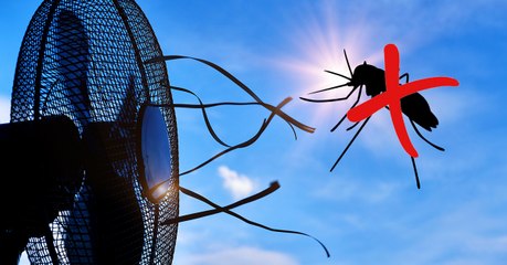 Anti-moustique : pour lutter contre les piqûres, optez pour un ventilateur !