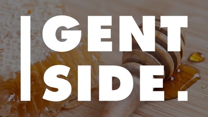 Un apiculteur laisse un ours sauvage goûter son miel pour déterminer lequel est le meilleur (Vidéo)