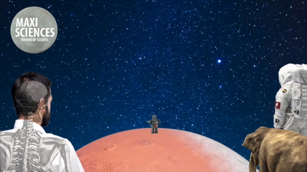 SpaceX, paludisme et script, les actus sciences que vous devez connaître ce 17 octobre