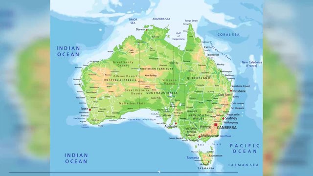 Un serpent miraculeusement secouru après avoir entièrement avalé une serviette de plage (VIDEO)