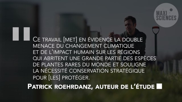 Réchauffement climatique : les espèces végétales extrêmement rares risquent de disparaître