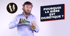 Voici pourquoi boire une bière par jour est bon pour la santé selon une étude