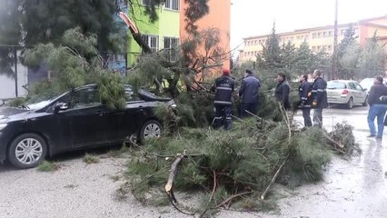 Fırtına direk ve ağaçları devirdi, araçlarda hasara yol açtı