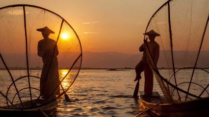 Archéologie : un minuscule dinosaure découvert dans de l'ambre en Birmanie