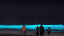 Insolite : d'étranges vagues fluorescentes illuminent ces plages la nuit