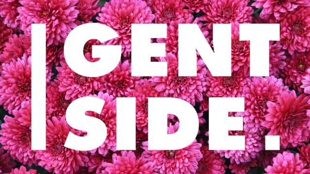 Pourquoi les chrysanthèmes sont-ils les fleurs de la Toussaint ?