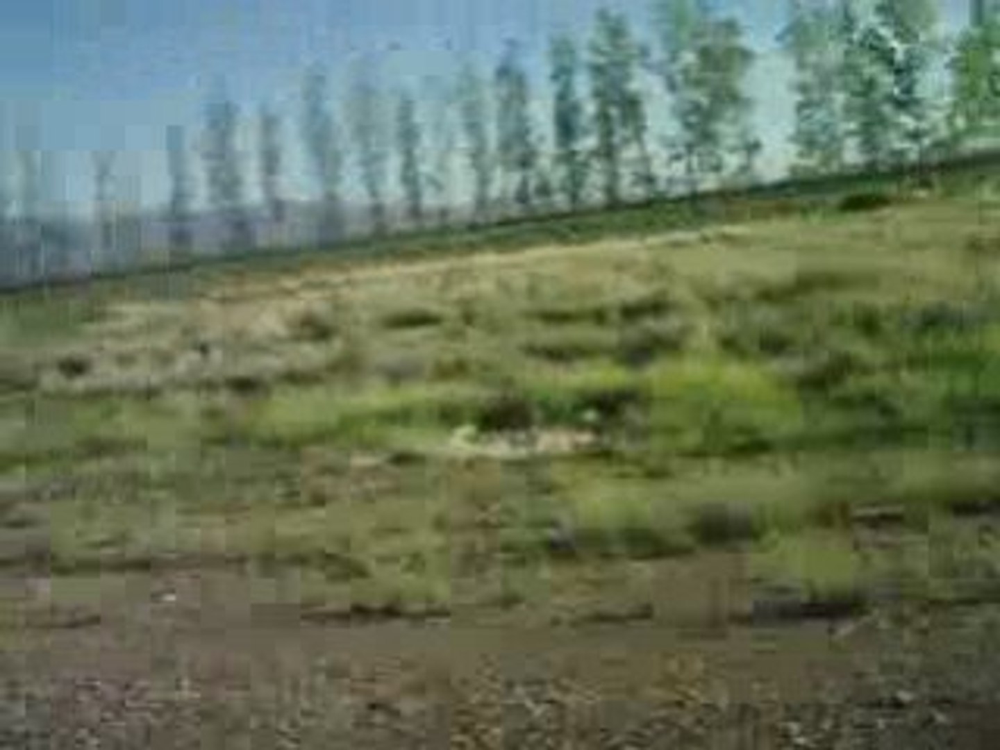 Travel