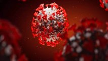 Covid-19 : L’institut Pasteur lillois découvre une molécule efficace contre le virus