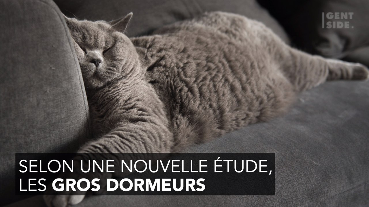 Sommeil : dormir trop est peut-être un signe de...