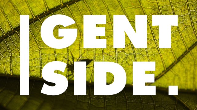 Animaux : ces incestes pondent leurs oeufs sur vous sans que vous le sachiez