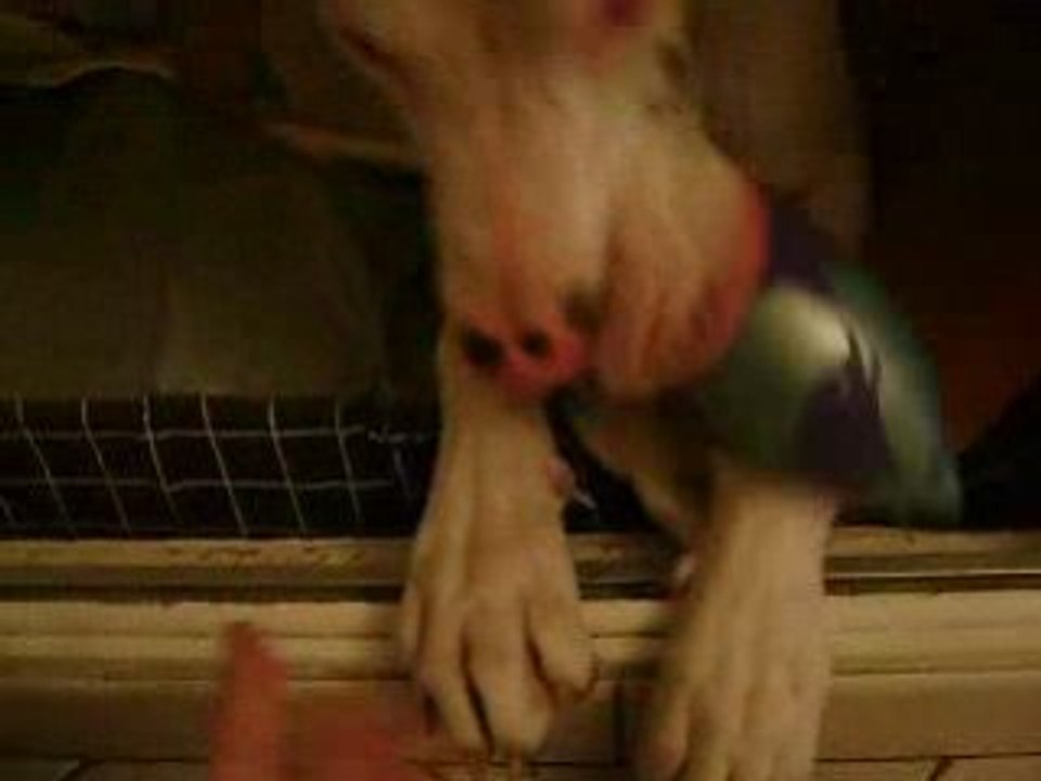 MOV01666