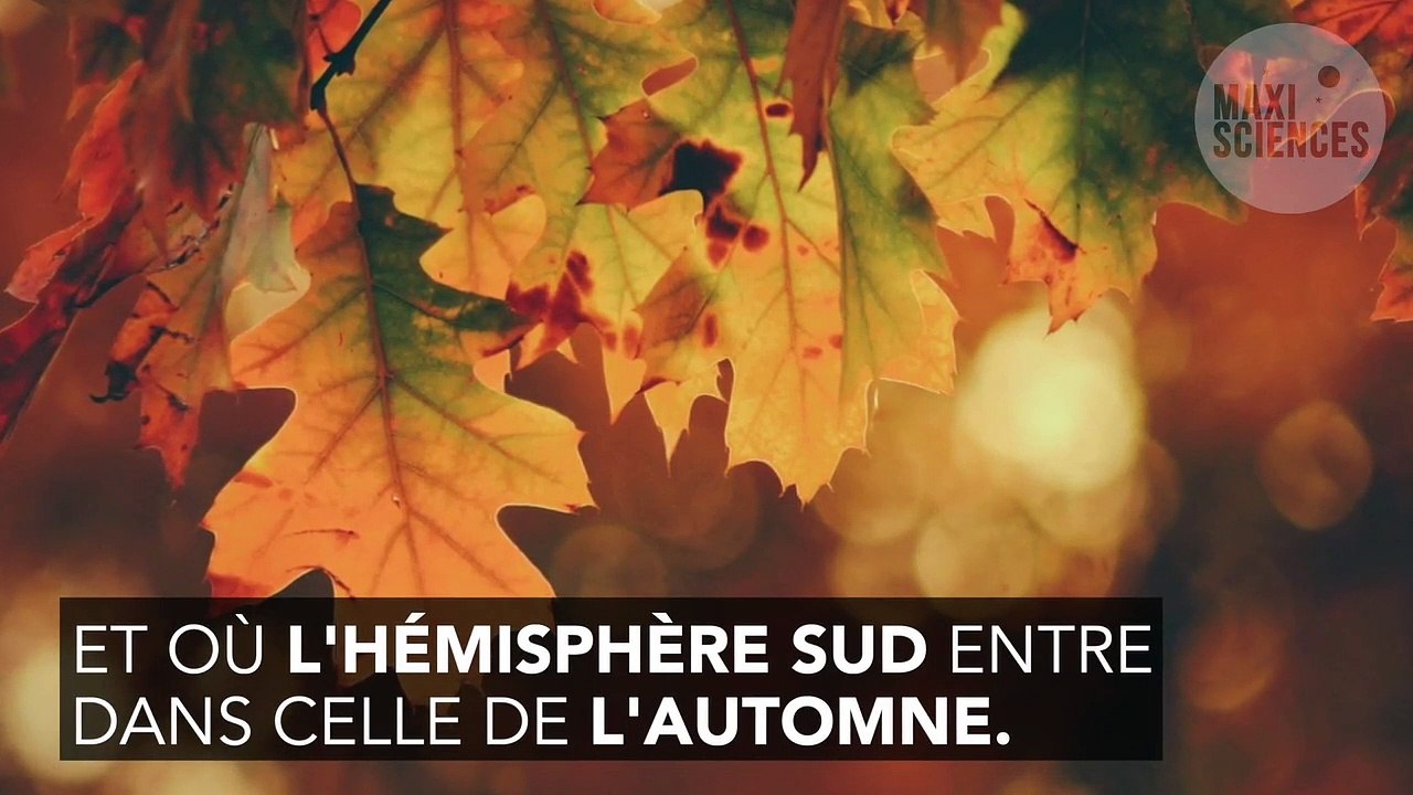 Équinoxe de printemps : tout ce qu'il faut savoir sur cet événement