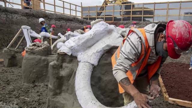 Mammoth central : des centaines de squelettes de Mammouths d'origine inconnue découverts au Mexique