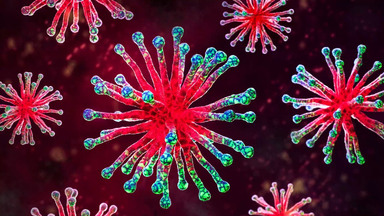 NeoCoV : que faut-il savoir du virus et présente-t-il des risques ?