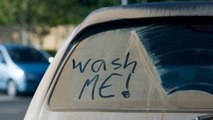 Hygiène : cette partie de votre voiture serait plus sale que vos toilettes