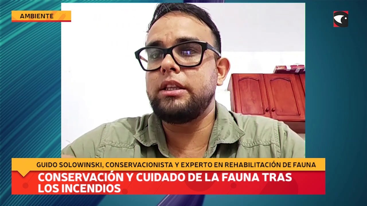 Conservación y cuidado de la fauna tras los incendios