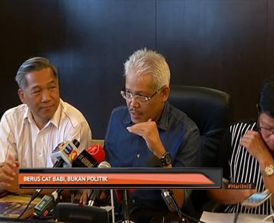 Berus cat babi, bukan politik