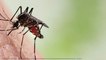 Cambodge : Des piqûres de moustiques non soignées le laissent avec une jambe cinq fois plus grosse que la normale (Photos)