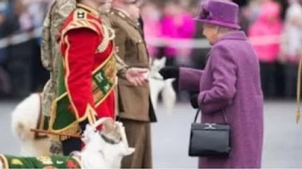 Explication du cadeau traditionnel de la reine aux soldats le jour de la Saint-David