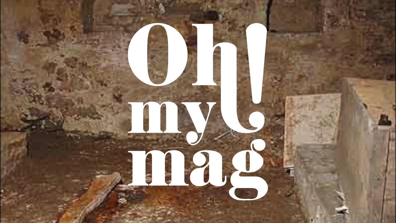 15 choses très étonnantes que des personnes ont trouvées chez elles