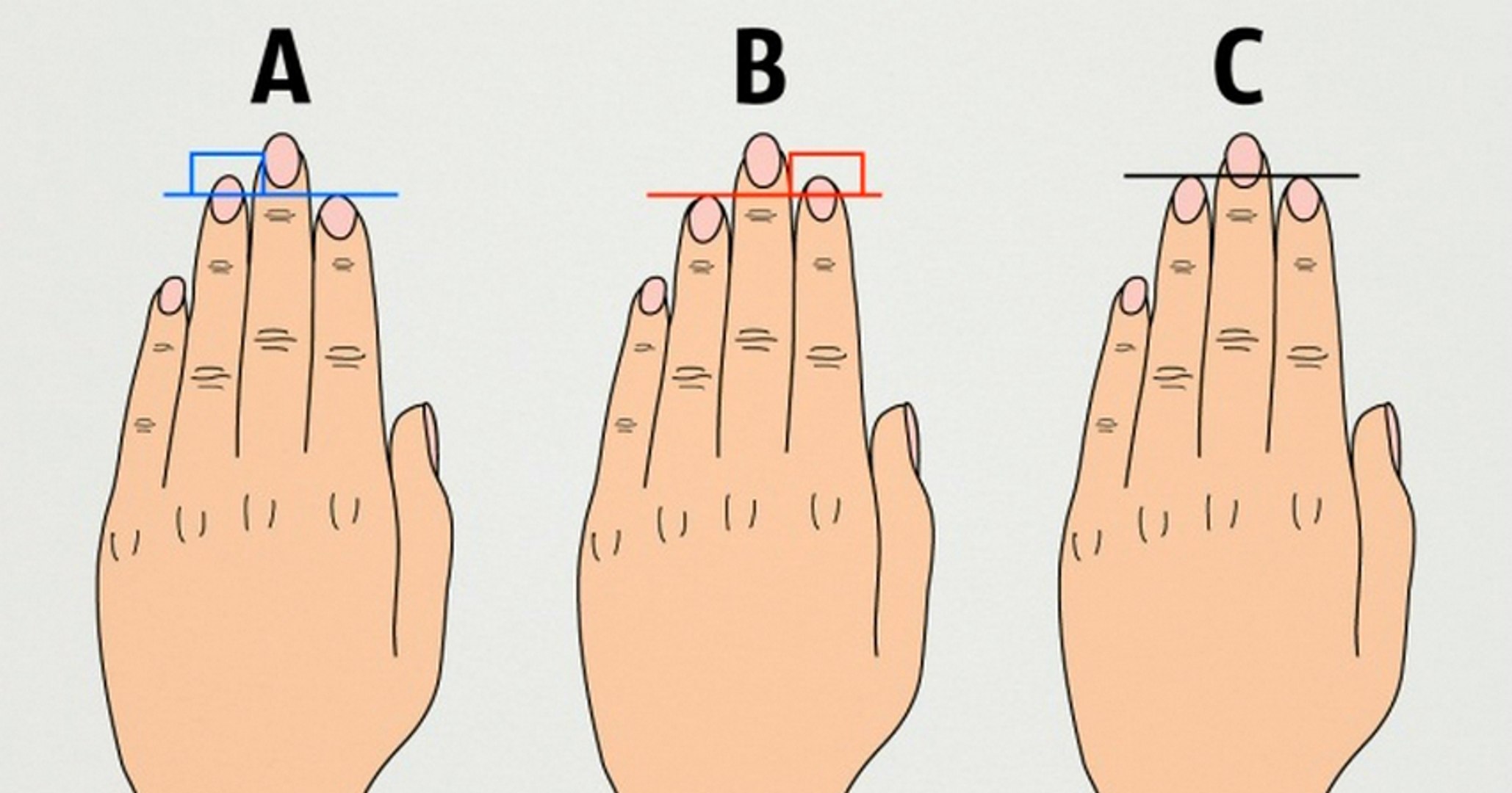 Insolite : que révèlent la longueur de vos mains et de vos ...
