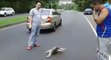Animaux : des automobilistes sauvent un paresseux coincé sur une route