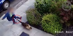Ce petit garçon agresse un chat sans défense... et il est bien puni en retour