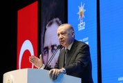 Cumhurbaşkanı Erdoğan, partisinin Ankara Genişletilmiş İl Danışma Meclisi Toplantısı'nda konuştu: (1)
