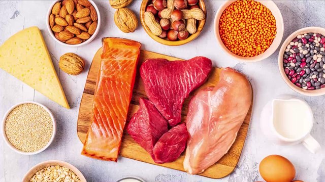 Quels sont les aliments les plus riches en protéines ?