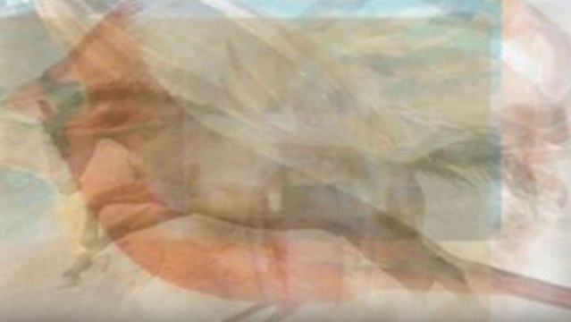 Ce que vous voyez en premier sur cette image en dit long sur votre personnalité !