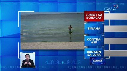Lumot, muling lumitaw sa ilang baybayin ng Boracay | Saksi