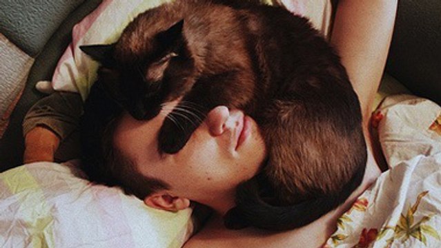 Pourquoi les chats adorent venir dormir blottis tout contre vous ?