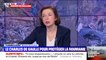 Florence Parly sur la candidature d'Emmanuel Macron: "Le président est totalement à sa tache"