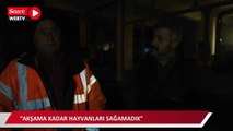 Denizli’de 13 köyde elektrik kesintisi