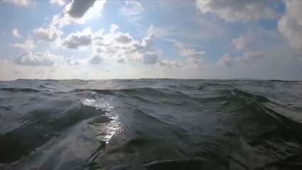 Square Waves Are a Thing   and If You See Them  Get Out of the Water Immediately