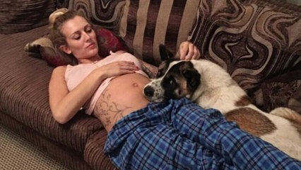 Enceinte, sa chienne gémit face à son ventre, chez le médecin, elle apprend une triste nouvelle