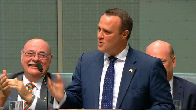 Un député demande son compagnon en mariage en plein débat parlementaire