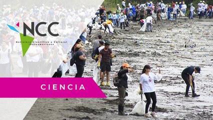 Centenares de voluntarios panameños limpian las playas