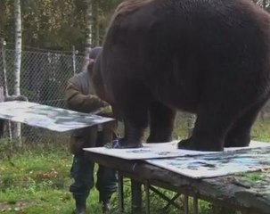 Finnish gallery opens exhibition by Juuso the bear