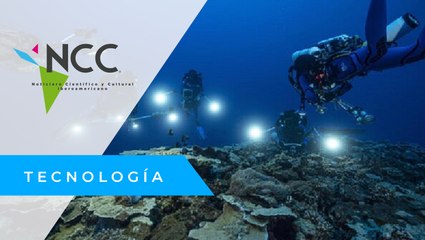 En Tahití descubren uno de los arrecifes de coral más extensos del mundo