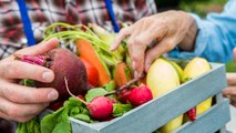 5 fruits et légumes de saison à savourer au mois de Novembre