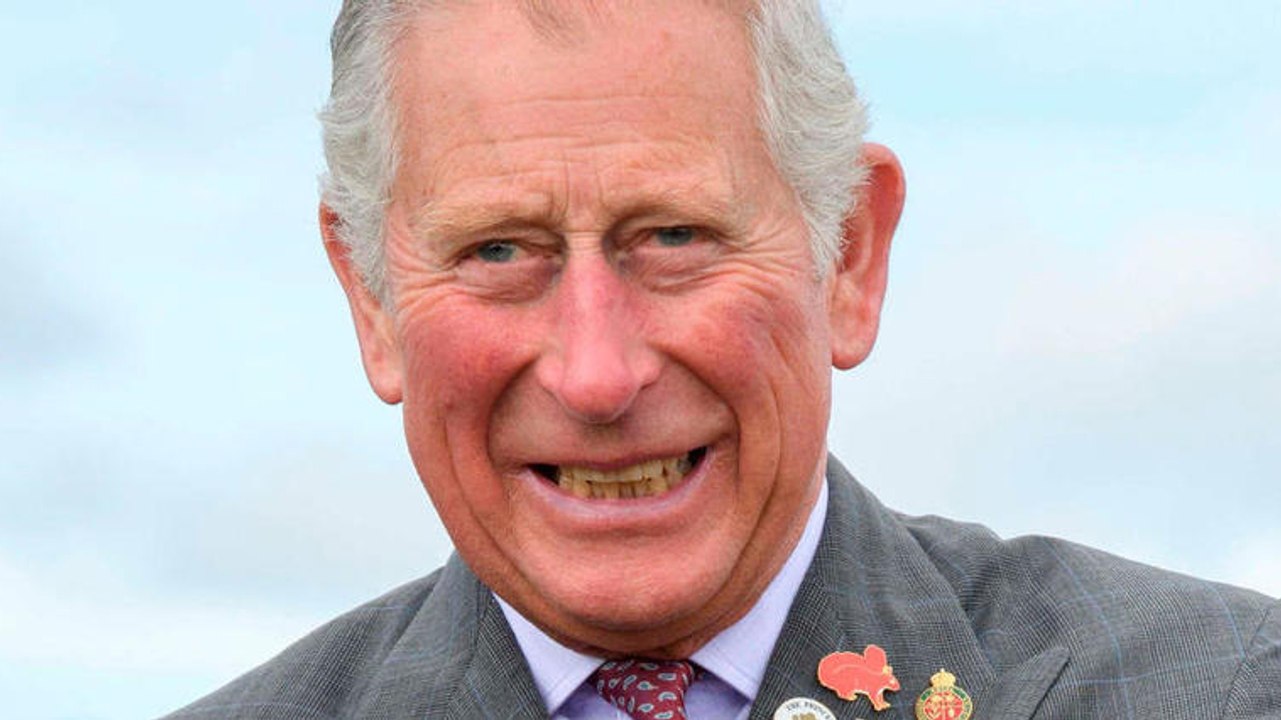 Le Prince Charles lit Harry Potter à ses petits-enfants en imitant les voix des personnages