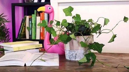 Customiser un pot de fleur avec un seau en bois