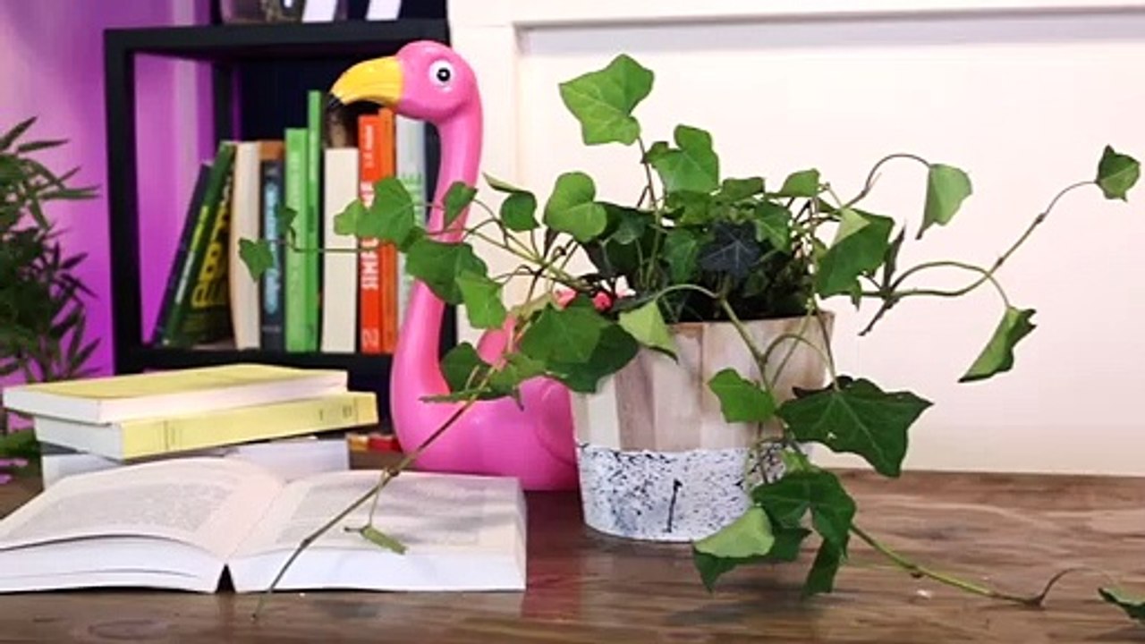 Customiser un pot de fleur avec un seau en bois