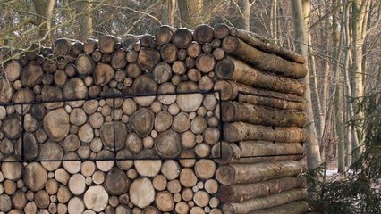 Cet architecte a construit un studio qui ressemble à une pile de bois