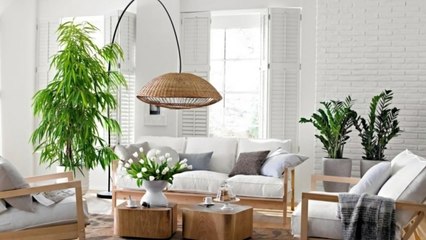 Feng-shui : 5 erreurs à éviter absolument chez vous !