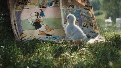 Disneyland Paris : cette pub avec un caneton va vous émouvoir