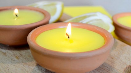 Comment fabriquer une bougie anti-moustiques 100% naturelle ? (Vidéo)